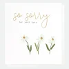 Daisies Sorry For Your Loss Sympathy Card>Caroline Gardner Store