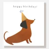 Sausage Dog In Party Hat Birthday Card>Caroline Gardner Sale
