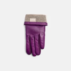 Violet Leather Cashmere-Lined Gloves><noscript><img width=